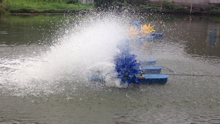 물고기 연못 통풍기의 레이아웃을 결정하는 것은 무엇입니까?